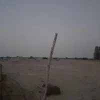 ۸هکتار زمین کشاورزی با۲دانگ آب چاه ومجوز مرغداری