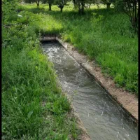 اجاره پرورش ماهی ۲۰ تنی|اجارهٔ دفتر صنعتی، کشاورزی، تجاری|بروجرد, |دیوار