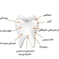 درمان دندان درد