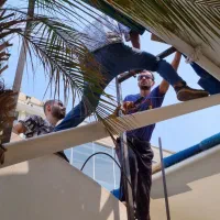 نیازمند نیروی فعال برای همکاری با دفتر معماری|استخدام معماری، عمران و ساختمانی|رشت, گلسار|دیوار