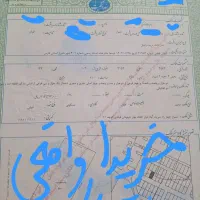زمین فروشی ملکی قعله نو شهرک مدرسی|فروش زمین و ملک کلنگی|شیراز, قلعه نو|دیوار