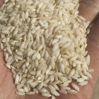 فروش انواع برنج