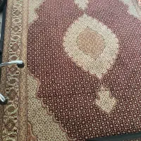 فرش|فرش|بندر انزلی, شهر صنعتی انزلی|دیوار