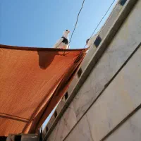 کبوتر خوب|پرنده|داراب, |دیوار