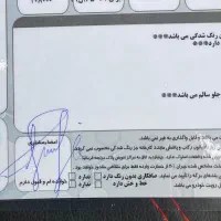 206 sd مدل 94 بدون رنگ|خودرو سواری و وانت|اصفهان, برازنده|دیوار