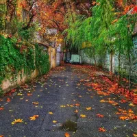 ۱۷۰ متر کلنگی / کیکاووس