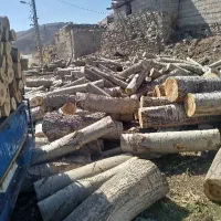 خرید درخت خرید چوب قطع برش تر وخشک