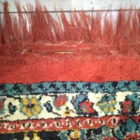 ۴ تا فرش|فرش|رشت, حومه رشت|دیوار