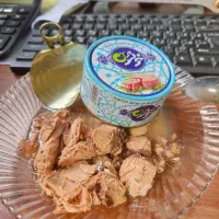 تن ماهی نخوشتون فیروزه چین چین شلیور