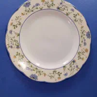 پلو خوری چینی آرکوپال استکان سوگا میوه خوری چینی|ظروف سرو و پذیرایی|تهران, نیلوفر|دیوار