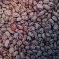 لوبیا|خوردنی و آشامیدنی|مهربان, |دیوار