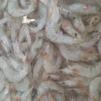 میگو|خوردنی و آشامیدنی|بوشهر, |دیوار