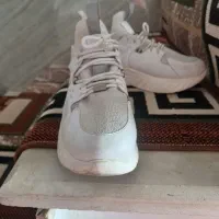 کفش در حدنو|کیف، کفش، کمربند|زنجان, |دیوار