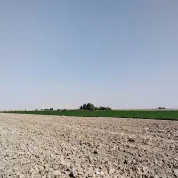 فروش زمین با موقعیت تجاری