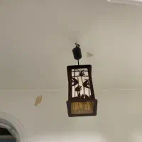 لوستر|لوستر و چراغ آویز|ارومیه, |دیوار