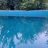 به دنبال مستاجر خانم|اجارهٔ خانه و ویلا|ساری, |دیوار