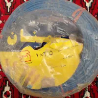 ۱۰۰ متر سیم البرز