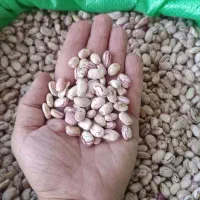 لوبیا چیتی ایرانی / زودپز ۴۳۰/۰۰۰   کالا برگ فعال