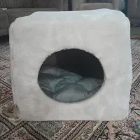 واگذاری گربه با وسایل نگهداری|گربه|زنجان, |دیوار