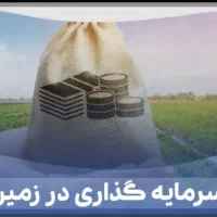 فروش-زمین-های-فاز-2-نصیرخوانی