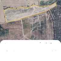 فروش زمین کشاورزی وحدتیه|فروش دفتر صنعتی، کشاورزی، تجاری|وحدتیه, |دیوار