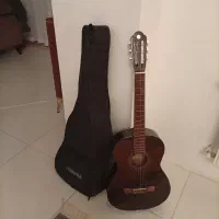 گیتار حرفه ای