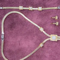 سرویس طلا دایموند اصل|جواهرات|اهواز, کوی فرهنگیان ۱|دیوار