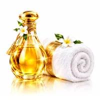 ماساژ ریلکسی در محل توسط آقای خوشبرخورد و حرفهای