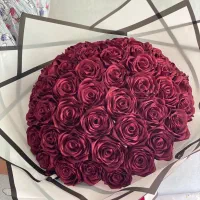 گل ربانی|گل مصنوعی|قزوین, |دیوار