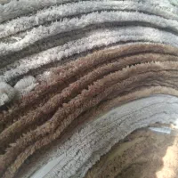استخدام کارگر ساده