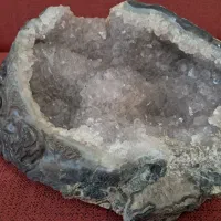 مجسمه جنگل فیل|مجسمه، تندیس، ماکت|تهران, بهارستان|دیوار