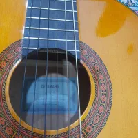 گیتار c70|گیتار، بیس، امپلیفایر|مریوان, |دیوار