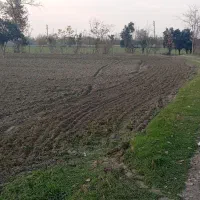 زمین کشاورزی