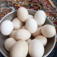 قالب چاه ۸۰|مصالح و تجهیزات ساختمان|یاسوج, |دیوار