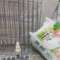 فروش وسایل سگ