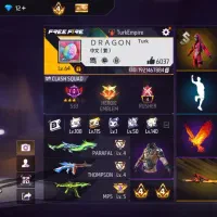 اکانت فری فایر قدیمی فروش یا طاق با کبوتر