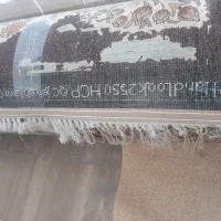 قالی ۳در۴|فرش|نیشابور, فرح بخش|دیوار