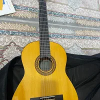 گیتار یاماها C315