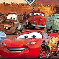 راننده هستم (خانم)