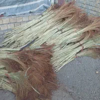 مقداری جارو به صورت دسته تمیز شده