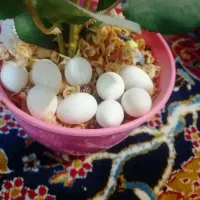 عروس هلندی نژاد اصیل