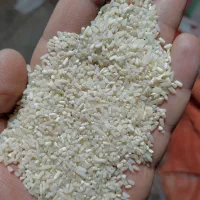 برنج شکسته دودی عمده