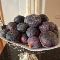 انجیر سیاه