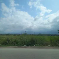 زمین-چهاردیواری-سرمایه-گذاری-وارد-بازار-پر-رونق