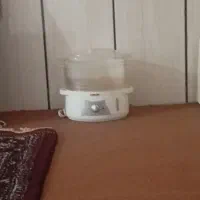 بخار پز