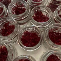 زعفران قائنات اصل ضمانت کیفیت و عطر|خوردنی و آشامیدنی|شیراز, باهنر|دیوار