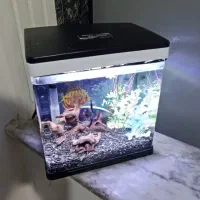 آکواریوم شرکتی شیشه خم  شیک و خاص