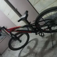 دوچرخه ۲۶ سالم|دوچرخه، اسکیت، اسکوتر|ری, جوانمرد قصاب|دیوار