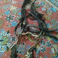 گردنی اسب|اسب و تجهیزات اسب‌سواری|گنبد کاووس, |دیوار