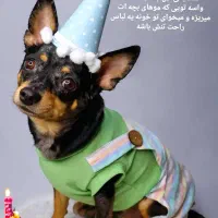 پت شاپ نواب